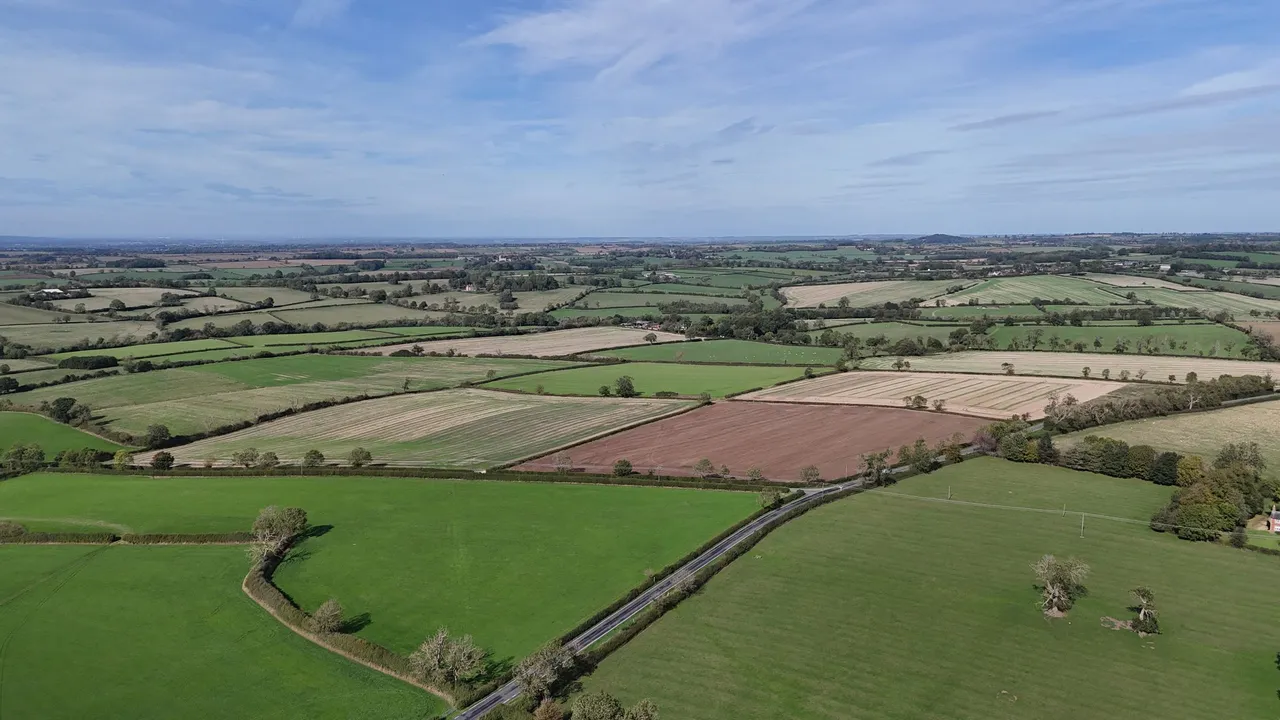 Carlton Curlieu, Leicester, LE8, photo 11