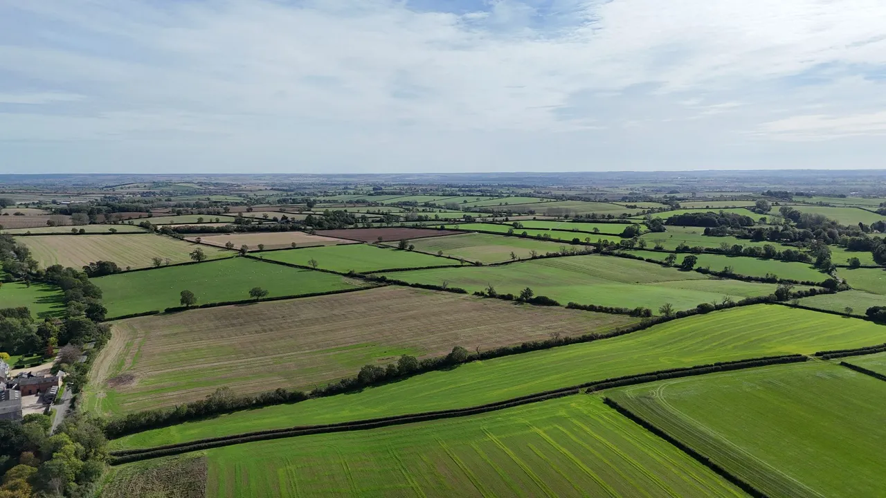 Carlton Curlieu, Leicester, LE8, photo 17