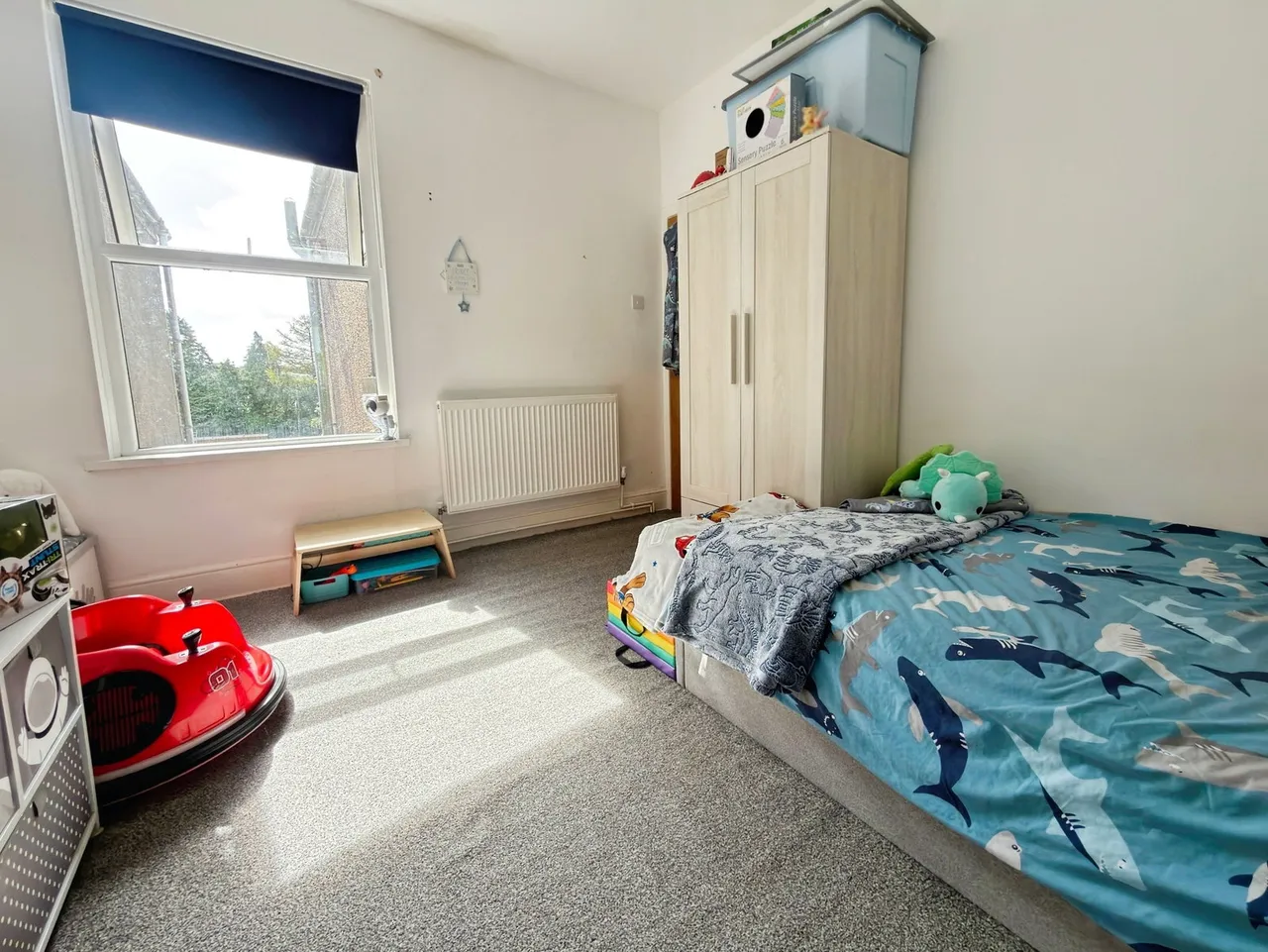 Armine Road, Fforestfach, photo 16