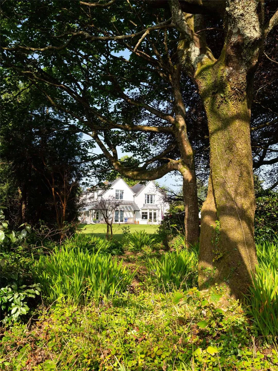 Old Church Road, Mawnan Smith, Falmouth, Cornwall, TR11 5HU, photo 8