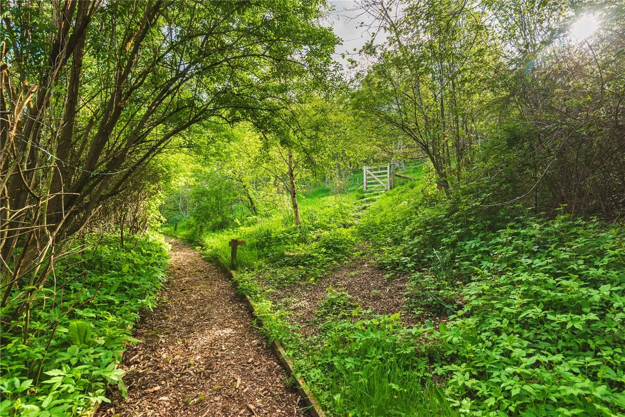 Dolanog, Welshpool, photo 71