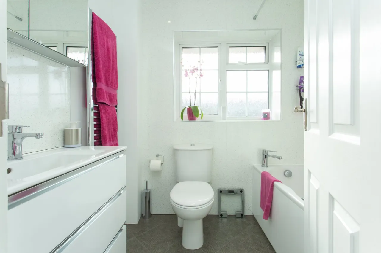 Sandpiper Road, Whitstable, CT5, photo 12