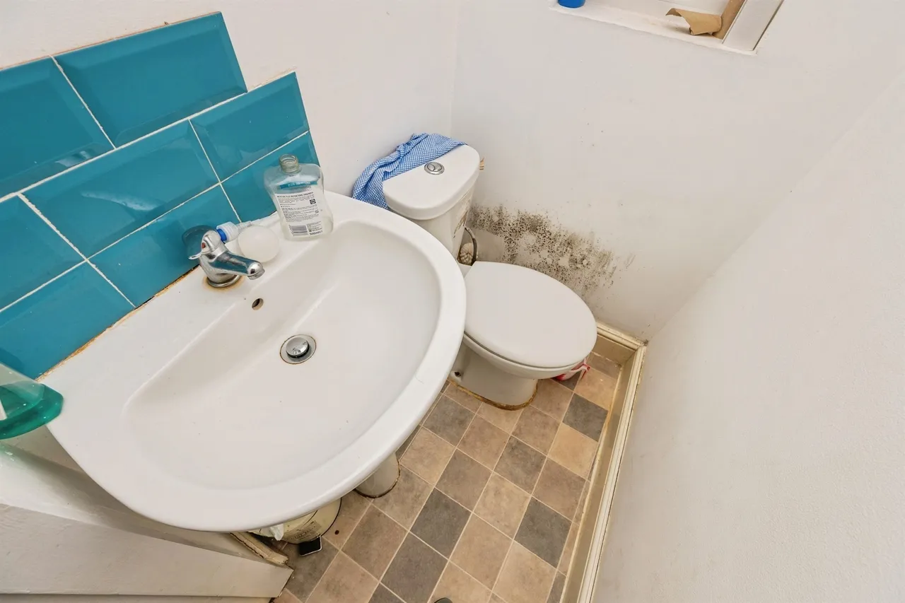 Sycamore Road, Handsworth, Birmingham, photo 6