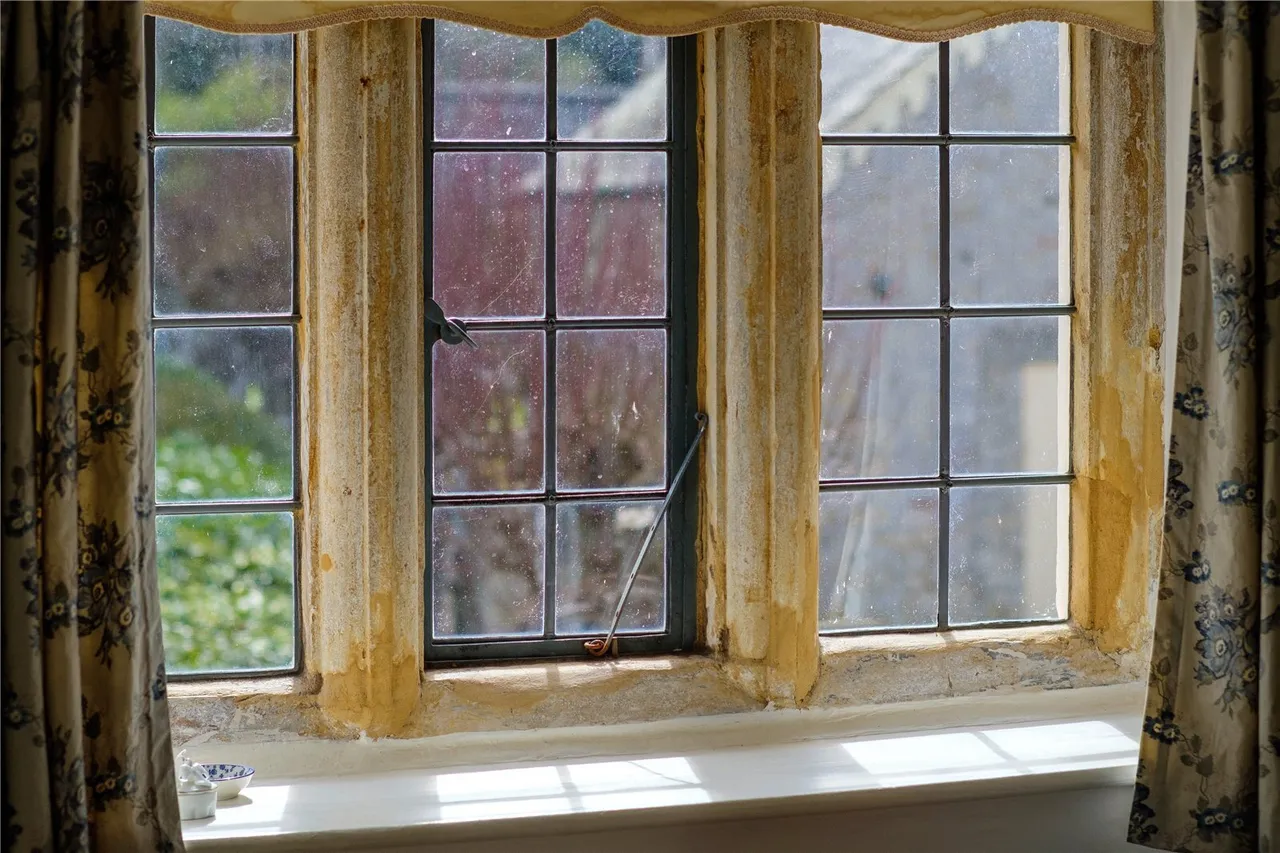 Whitcombe Road, Beaminster, DT8, photo 35