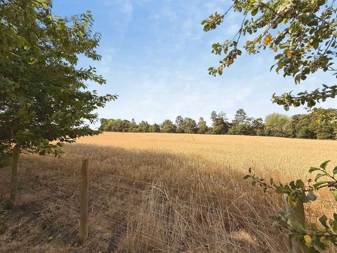 Ryton, Shifnal, TF11, photo 21