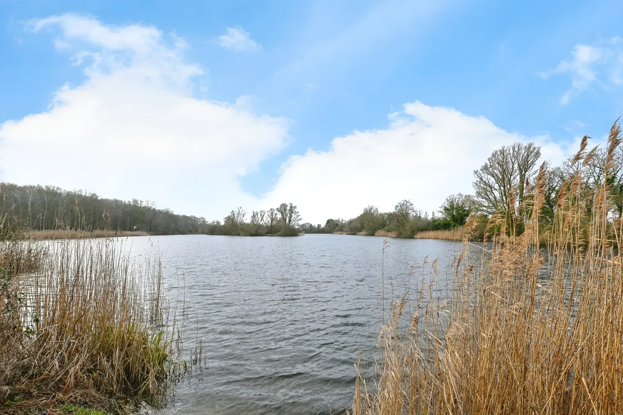 Woodlakes Park, Holme Road Stowbridge, Kings Lynn, Norfolk, PE34, photo 17