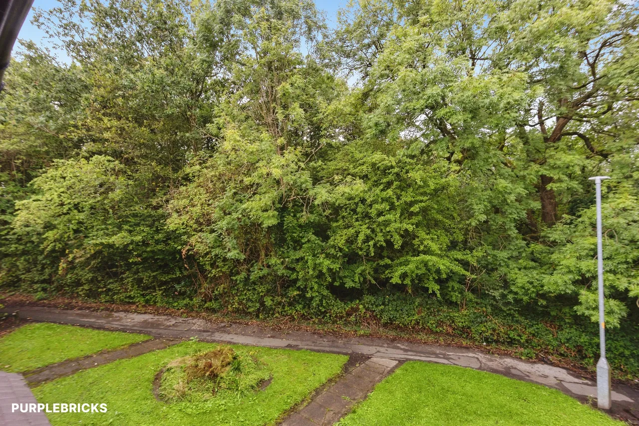 Chillington Walk, Manchester, M34, photo 20