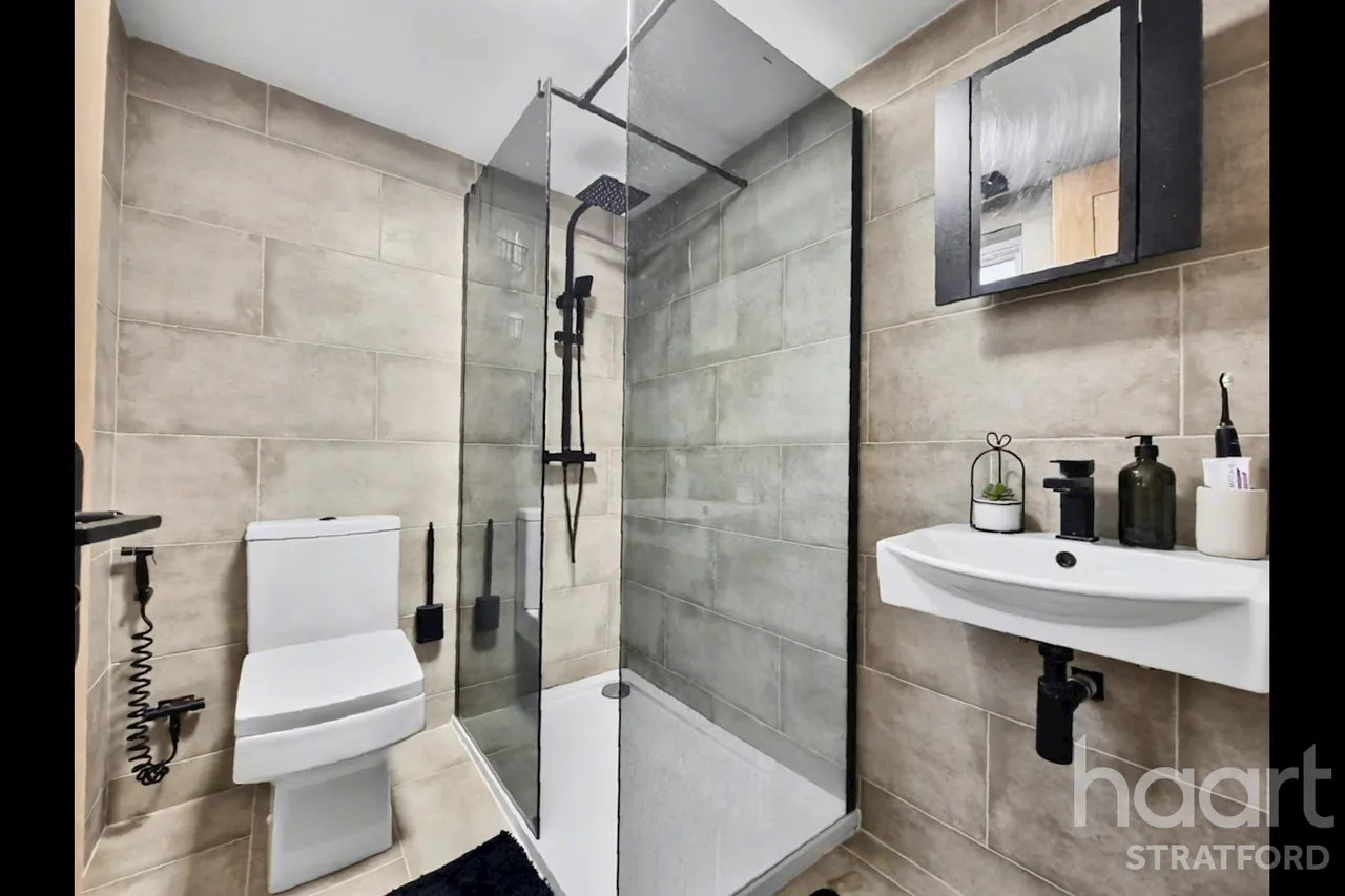 Thorpe Road, Forest Gate, E7, photo 16