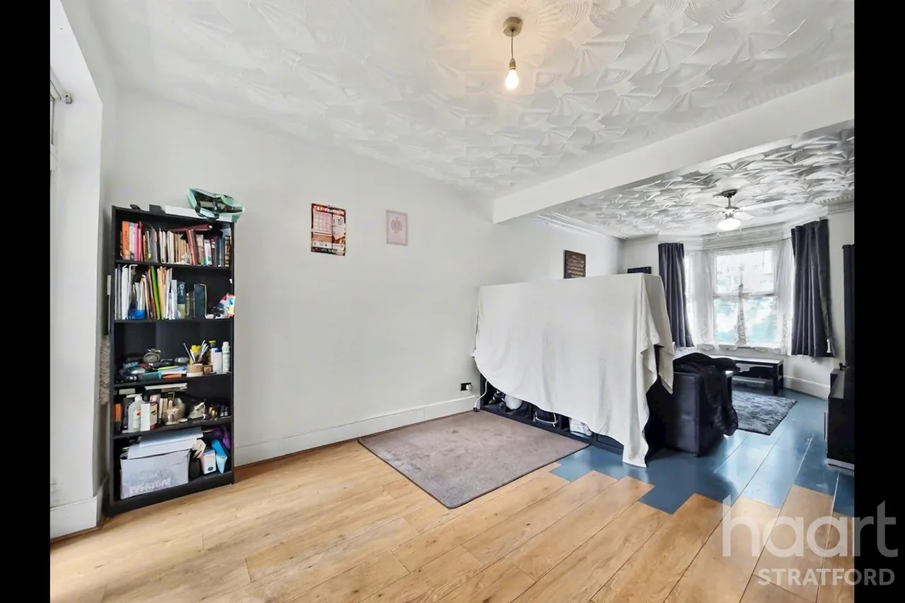 Thorpe Road, Forest Gate, E7, photo 6