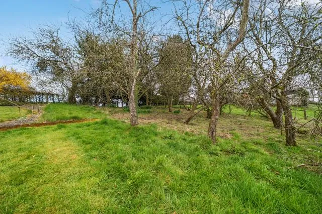 Kingswood, Kington, HR5, photo 12