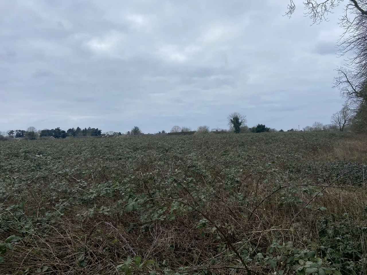residential (land) for sale — Barr Drive, Lakenheath, Brandon