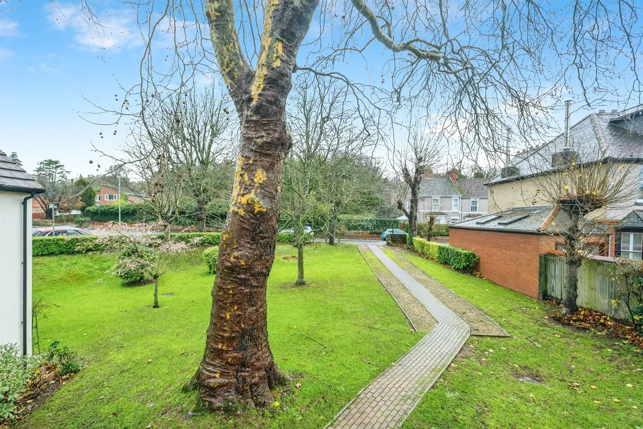 Grovelands Avenue, Swindon, SN1, photo 14