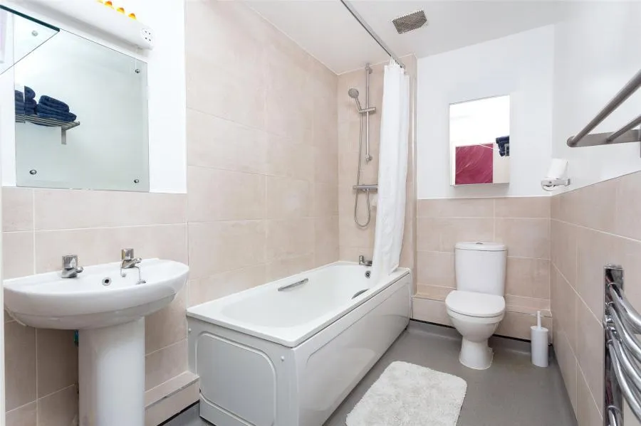 Union Road, London, SW8, photo 7