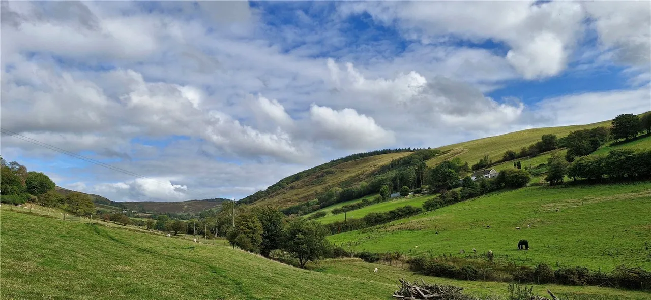 Cwmerfyn, Aberystwyth, SY23, photo 45