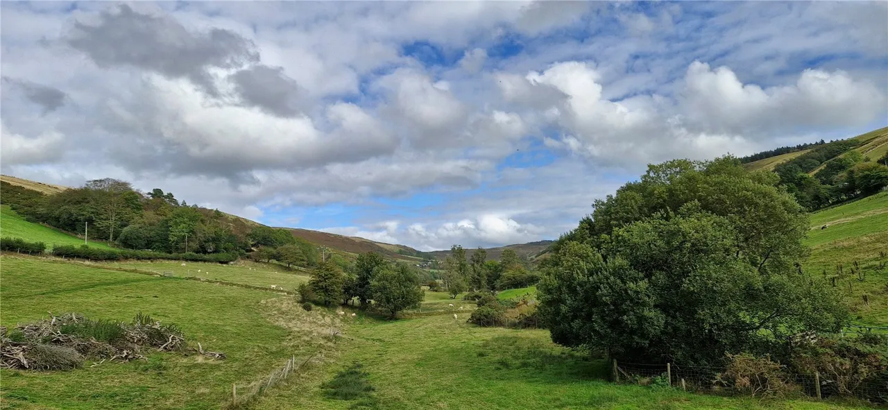 Cwmerfyn, Aberystwyth, SY23, photo 48