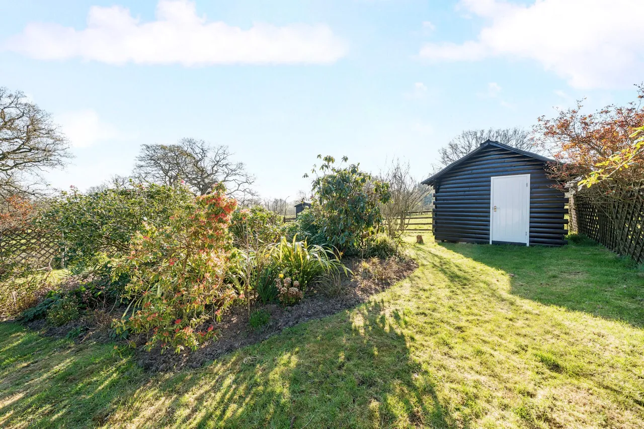 Boundless Road, Godalming, GU8, photo 16
