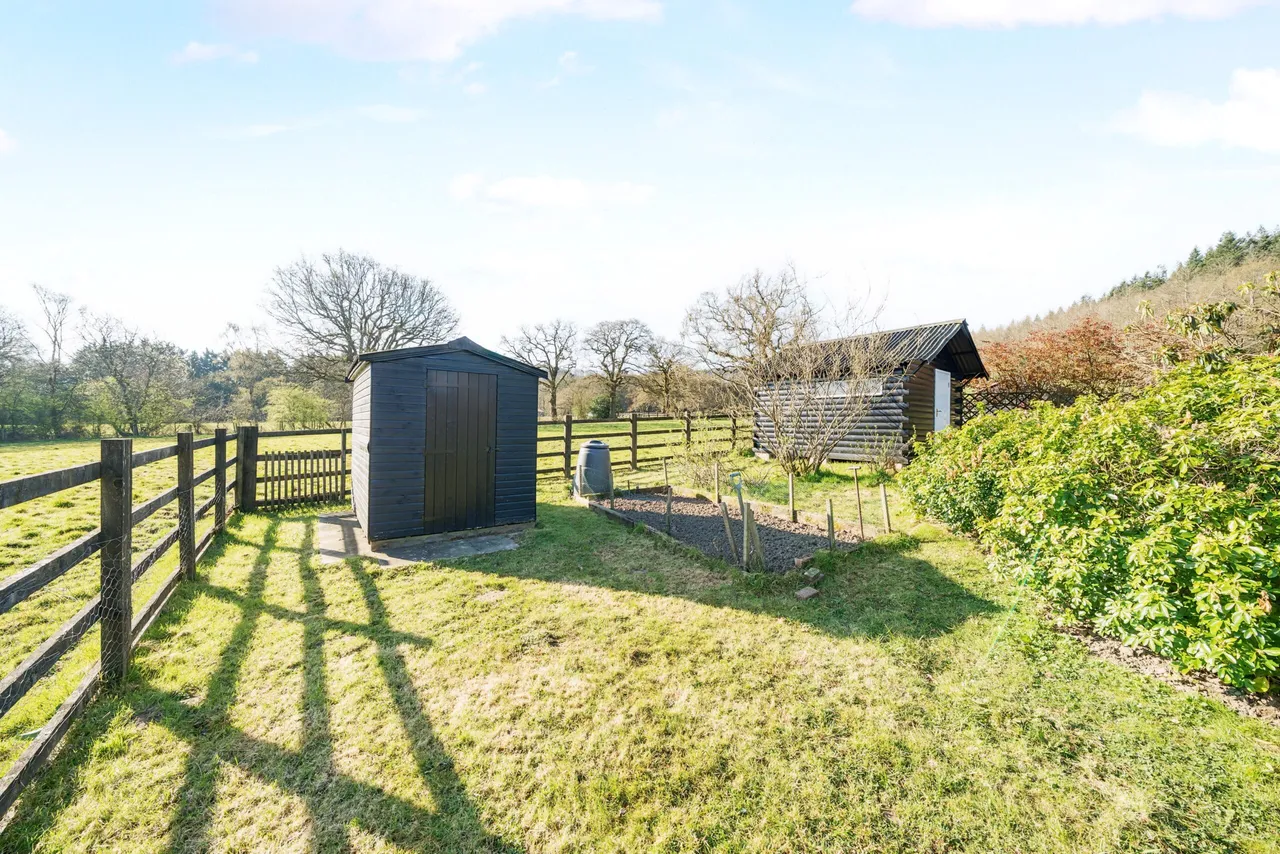 Boundless Road, Godalming, GU8, photo 13