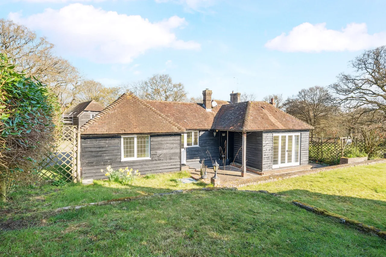 Boundless Road, Godalming, GU8, photo 15