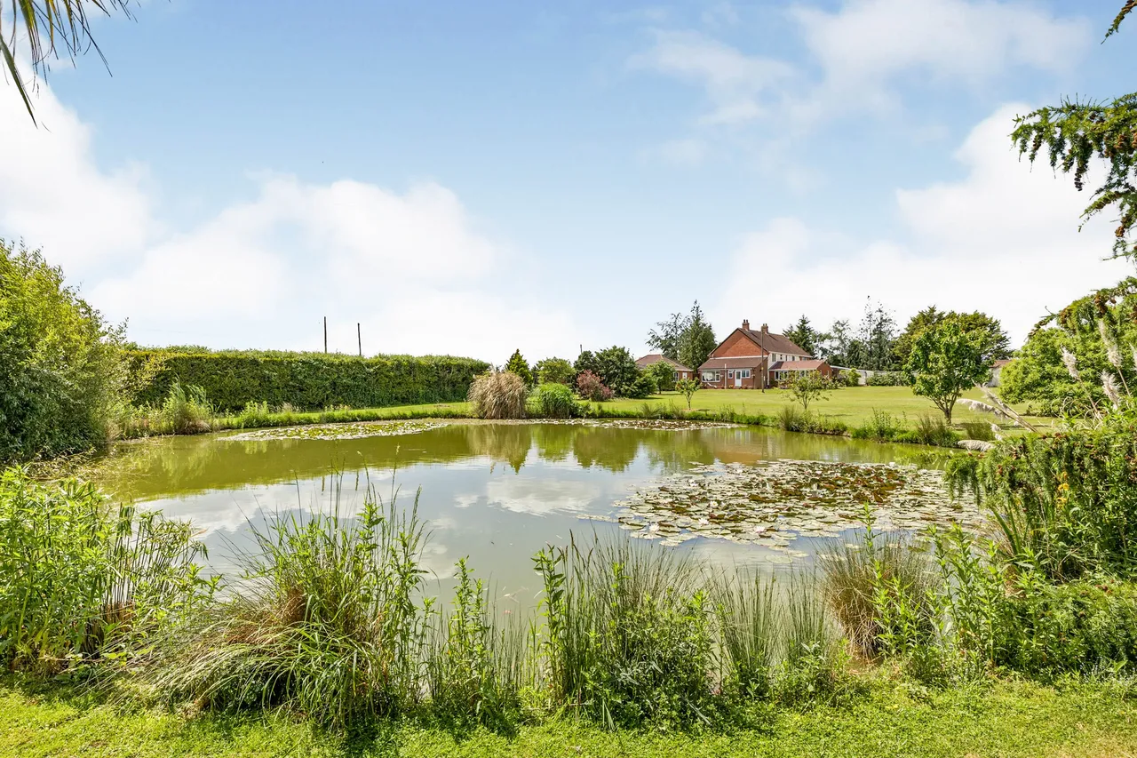 Hingham Road, Hackford, Wymondham, Norfolk, NR18, photo 9