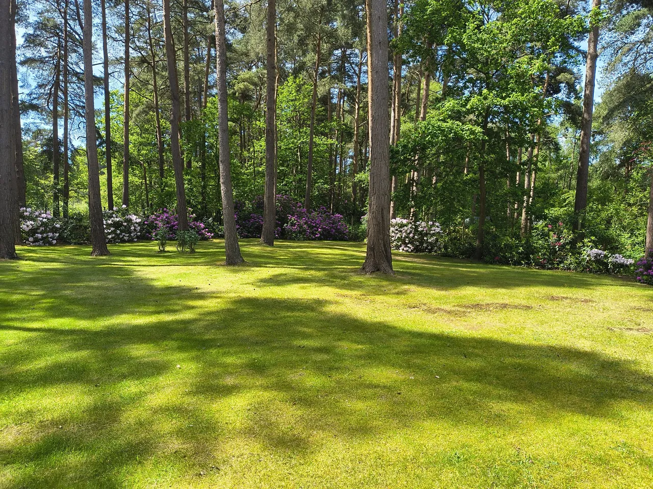 Heathmere Heath Ride, Finchampstead, Wokingham, RG40 3QN, photo 33