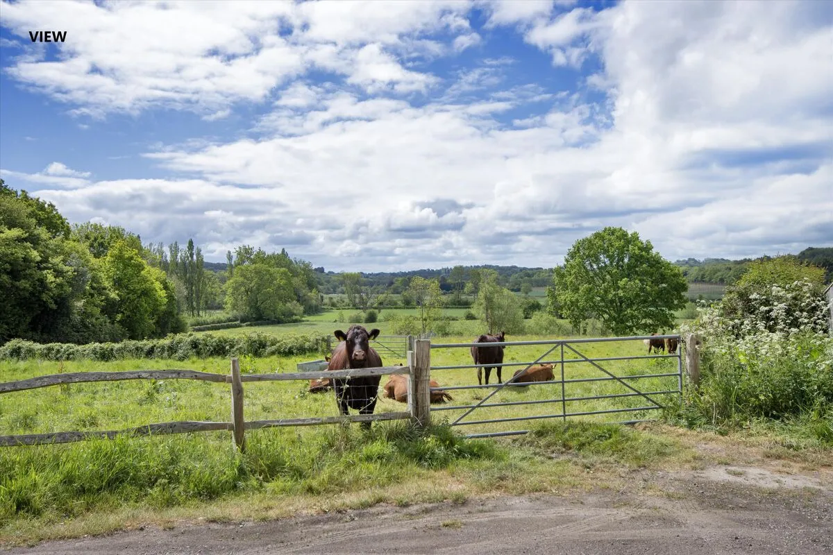 Church Lane, Salehurst, TN32, photo 16
