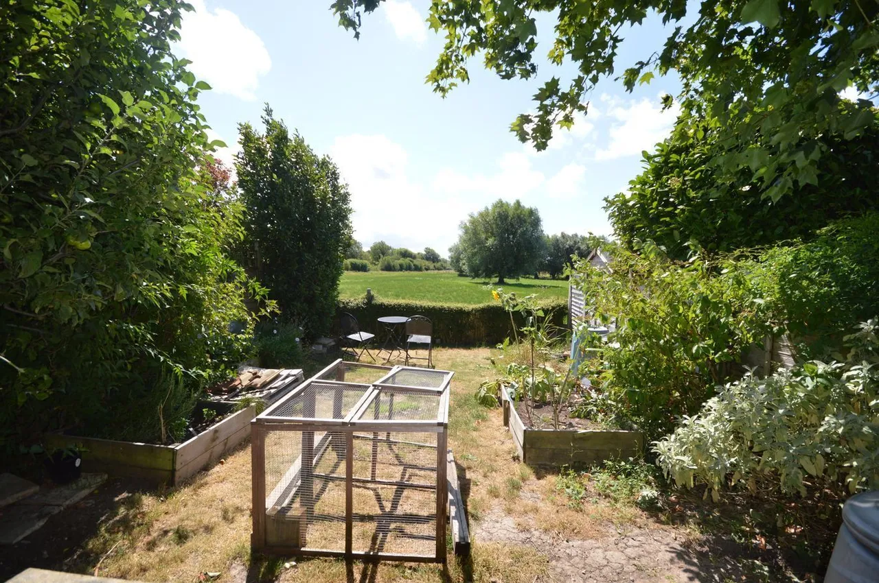 Walnut Close, Axbridge, BS26, photo 22