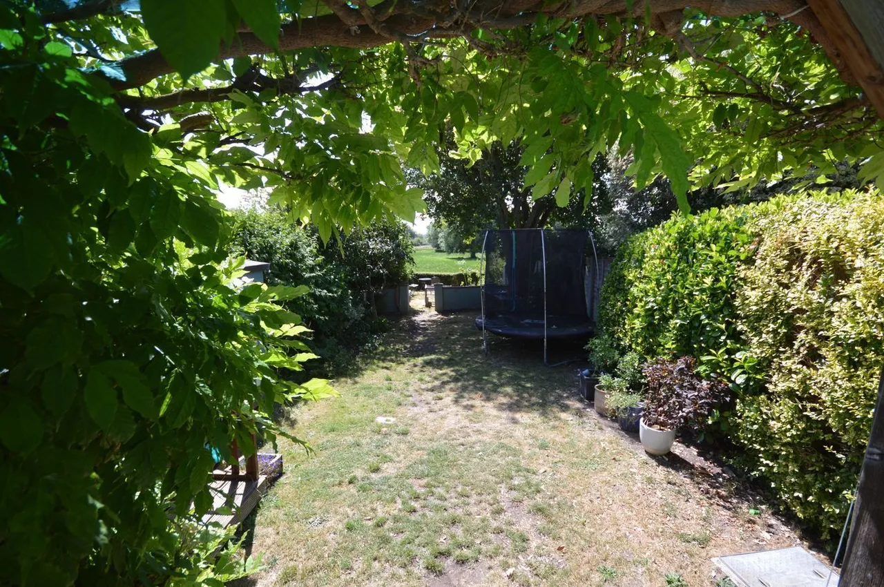 Walnut Close, Axbridge, BS26, photo 24