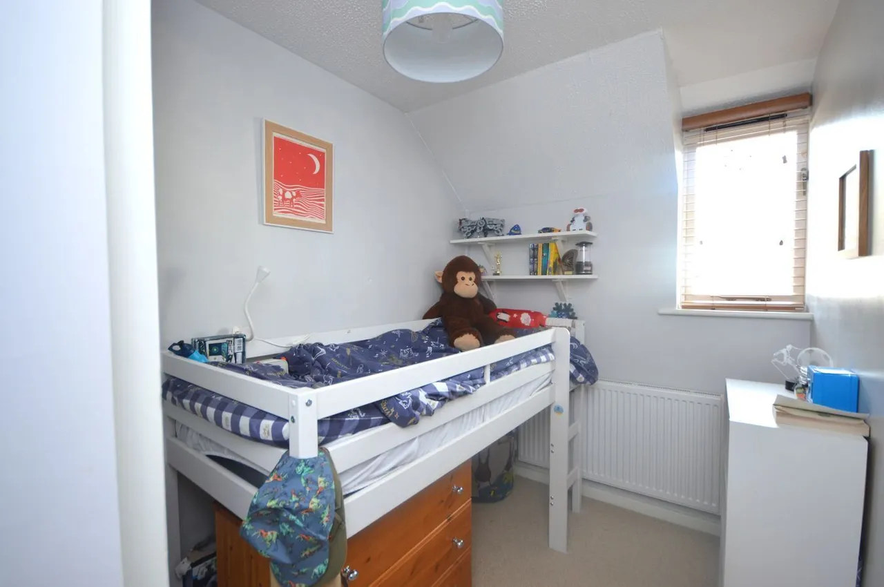 Walnut Close, Axbridge, BS26, photo 15