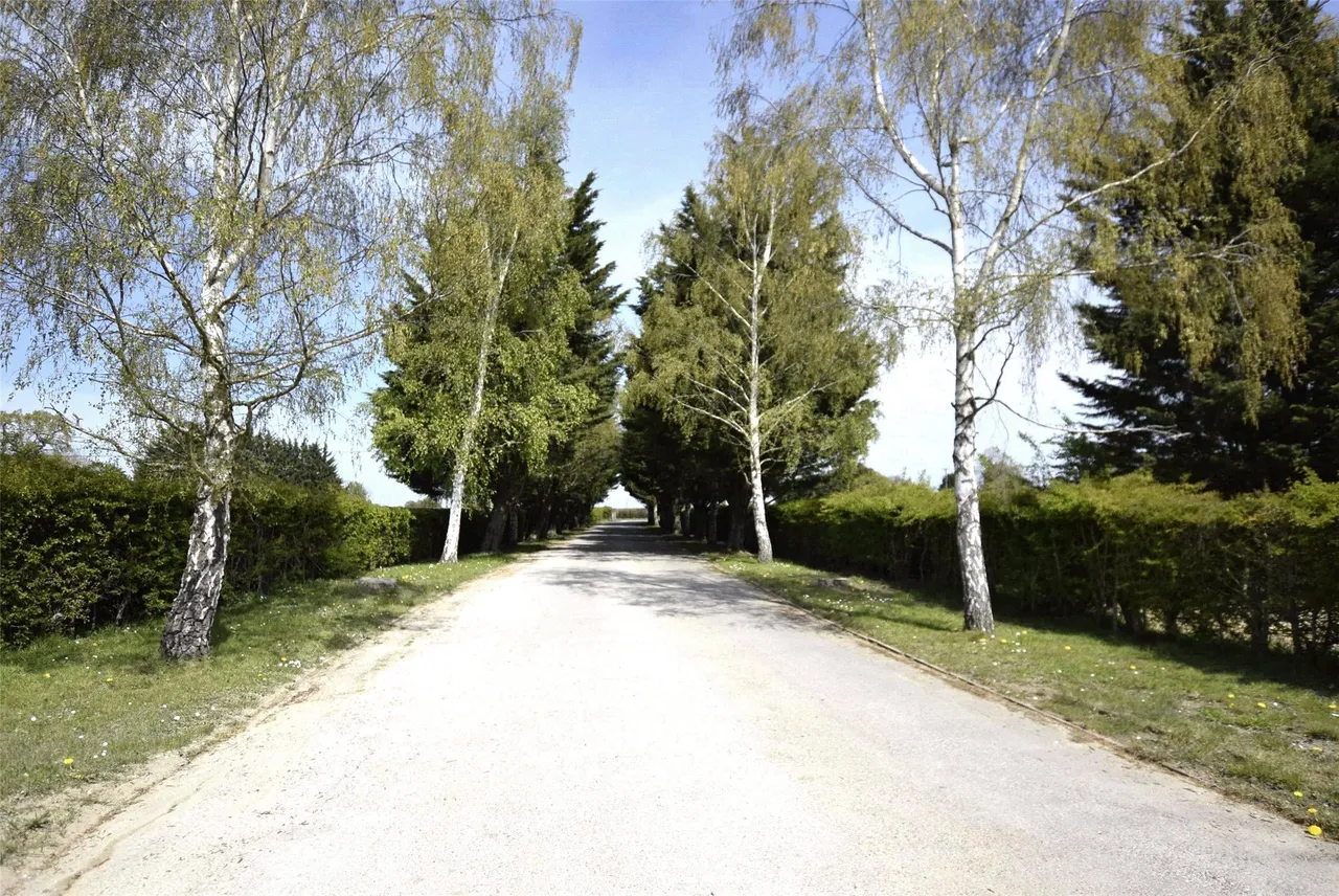Lower Road, Oxfordshire, Garsington, OX44 9DP, photo 5