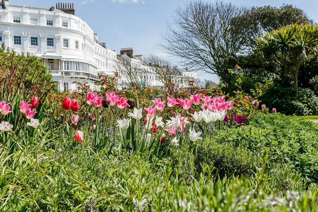 Rock Grove, Brighton, photo 9