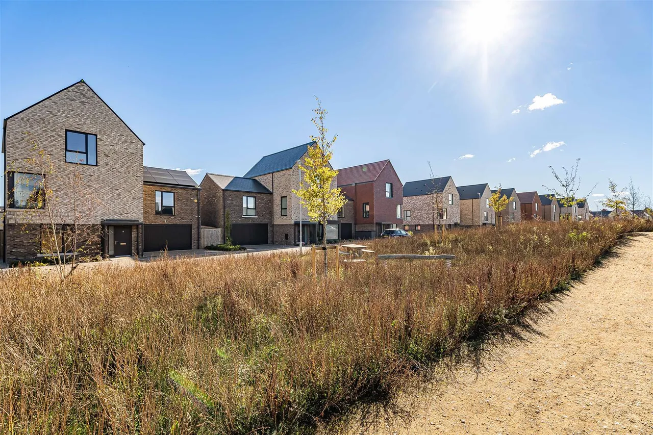 The Copse, Cambridge, CB5, photo 29