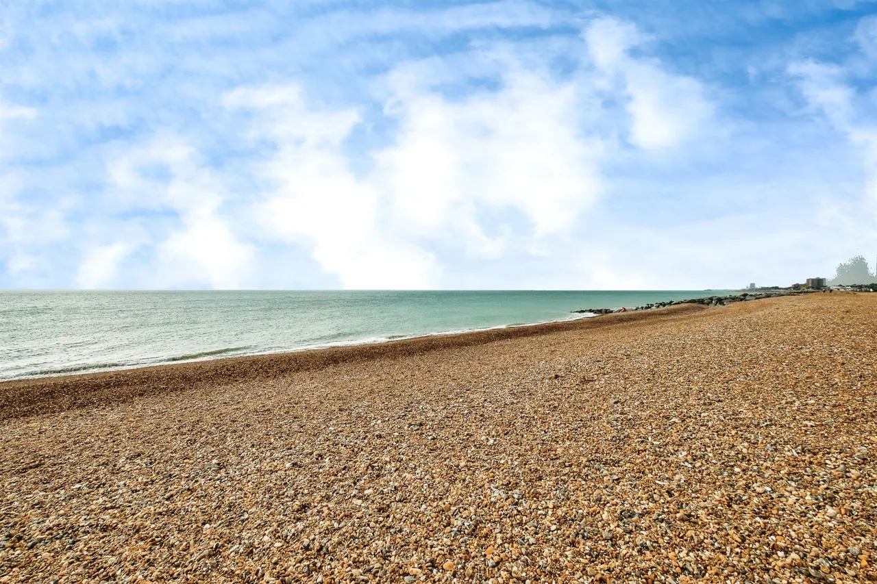 Brighton Road, Lancing, BN15, photo 14