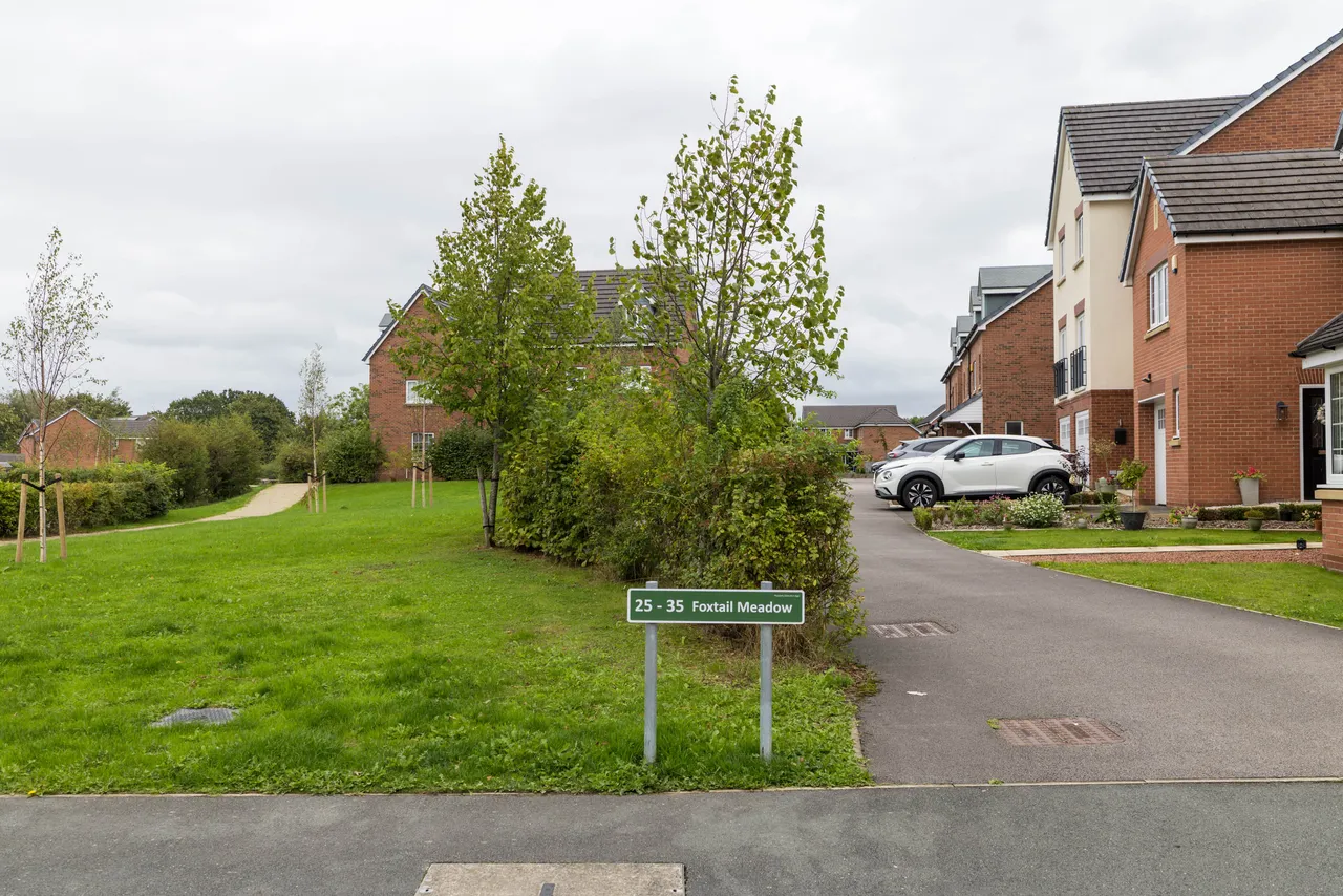 Foxtail Meadow, Standish, WN6, photo 16