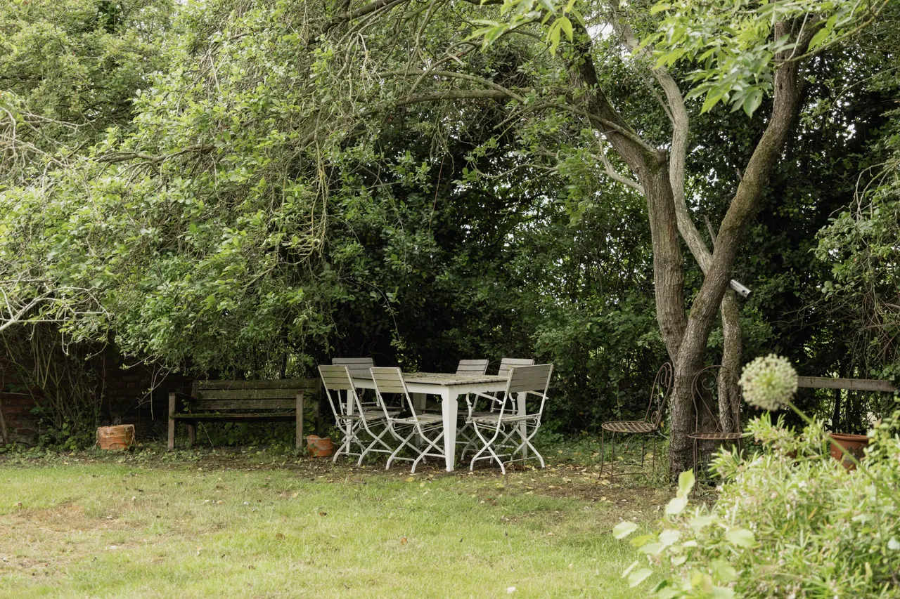 Low Road, Bunwell, NR16, photo 31