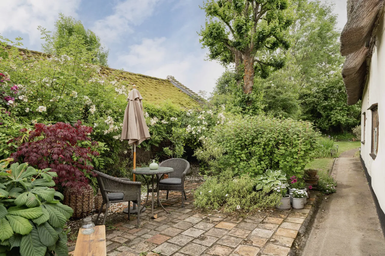Low Road, Bunwell, NR16, photo 30
