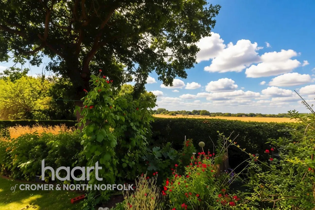 Southrepps Road, North Walsham, NR28, photo 27