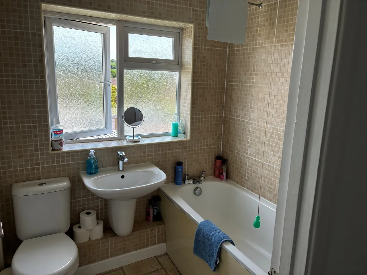 Glebelands, Merriott, TA16, photo 6