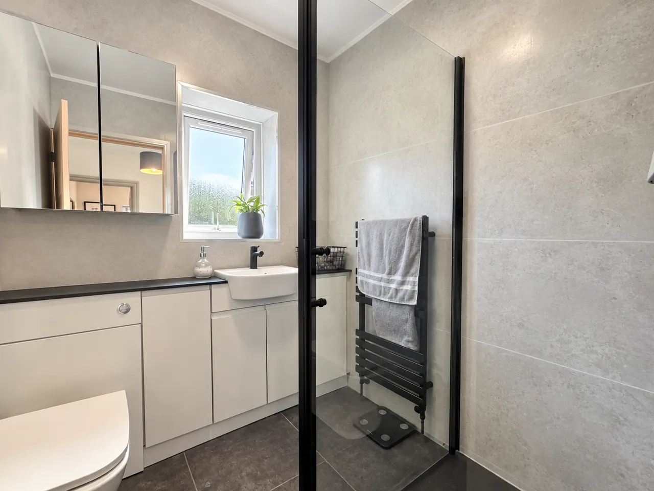Lydford Avenue, St. Thomas, SA1, photo 20