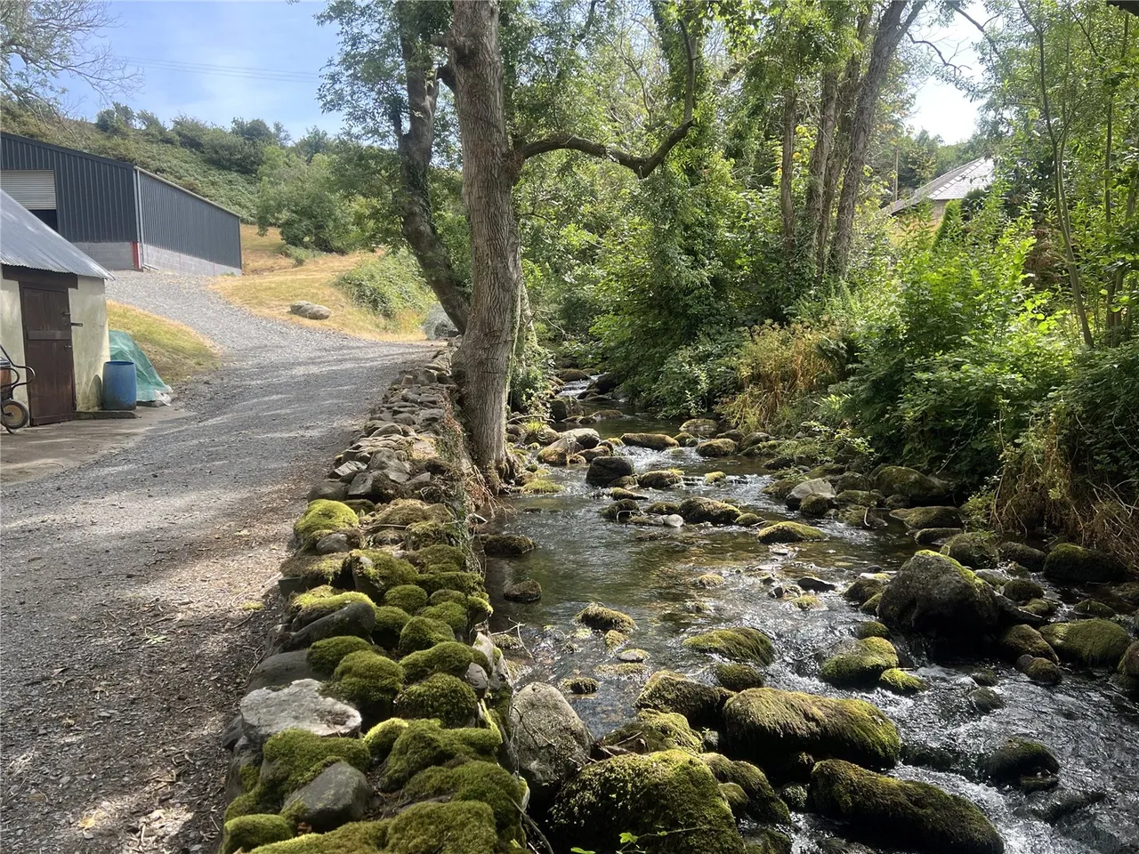 Llwyngwril, Gwynedd, photo 36