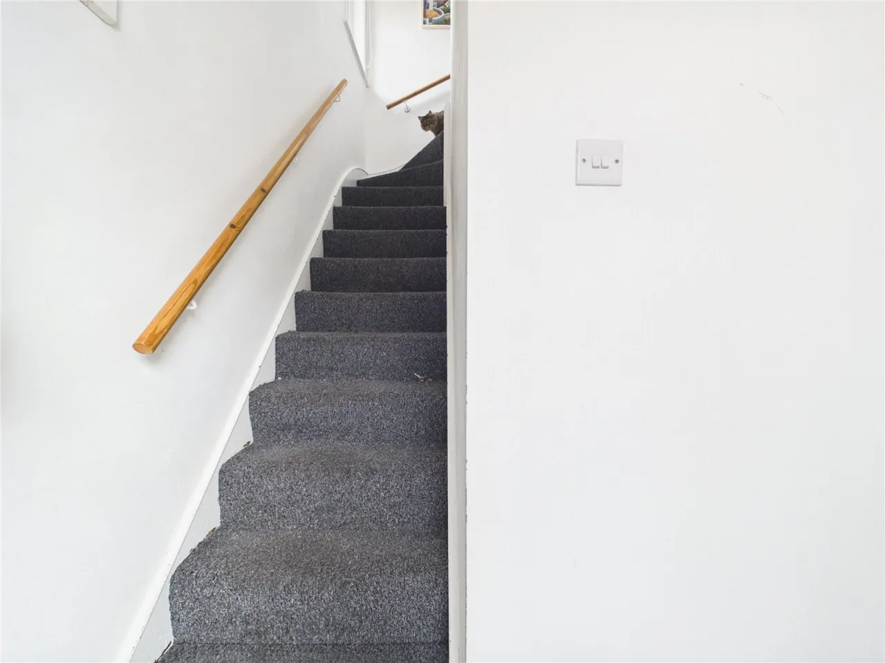 Tavistock Walk, Bristol, BS4, photo 25