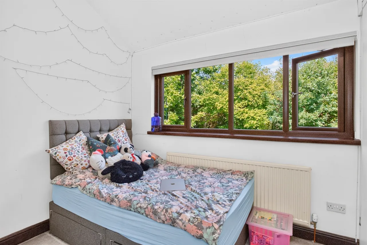Alderbrook Cardiff, CF23, photo 32