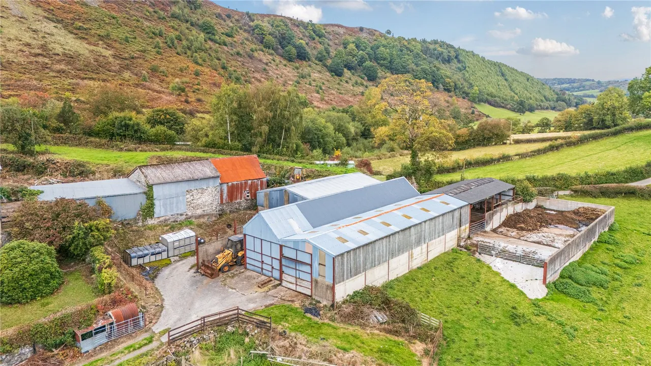 Gelli, Llanfair Caereinion, photo 12