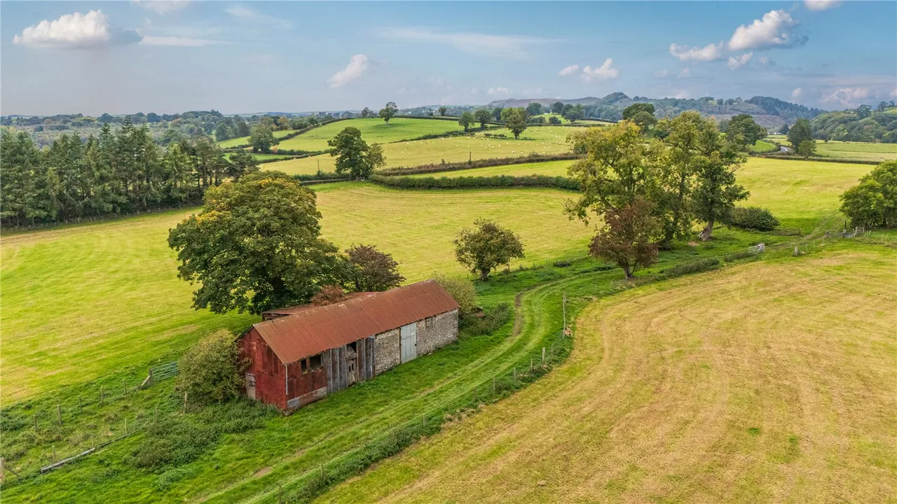 Gelli, Llanfair Caereinion, photo 16