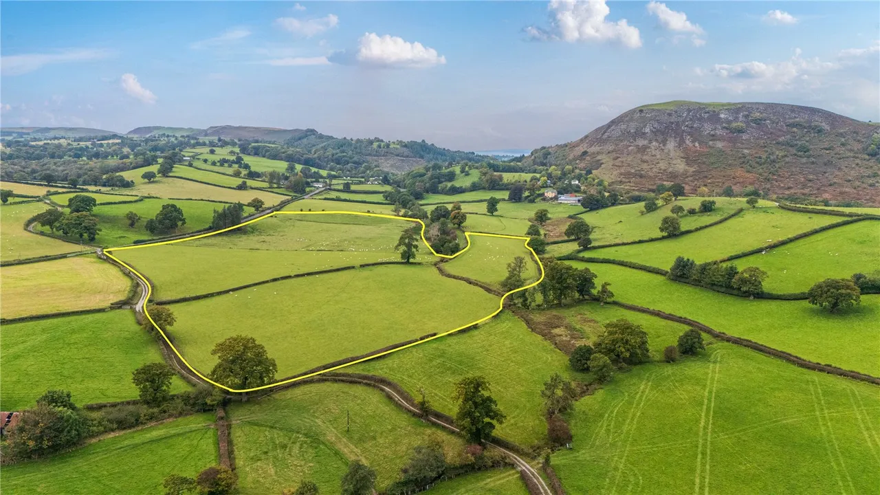 Gelli, Llanfair Caereinion, photo 24