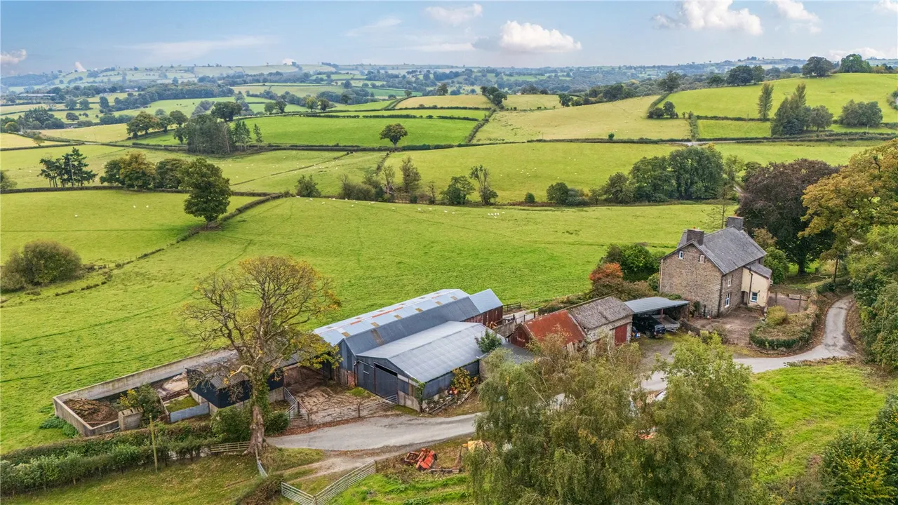Gelli, Llanfair Caereinion, photo 14