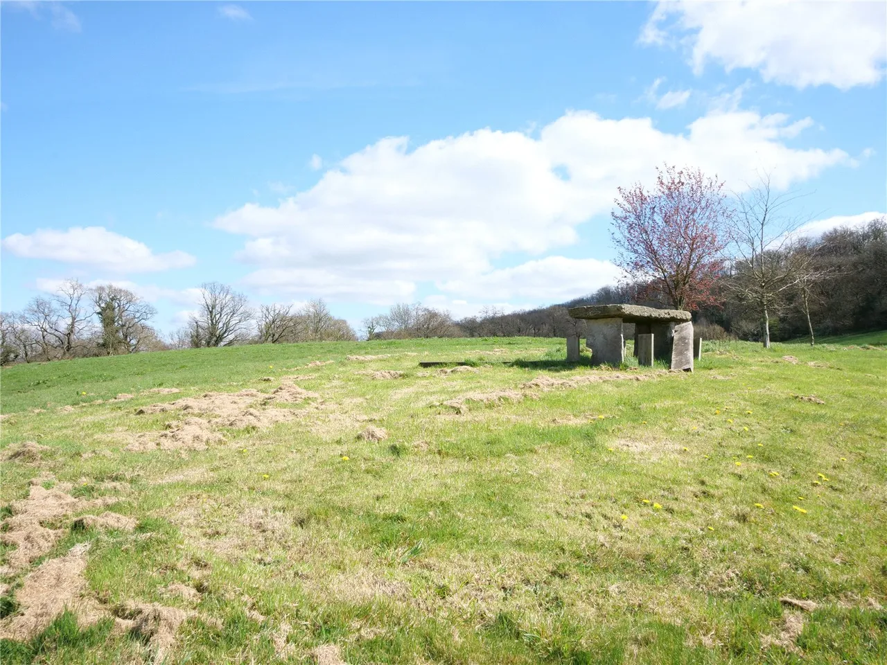 Leigh Upon Mendip, Radstock, photo 9