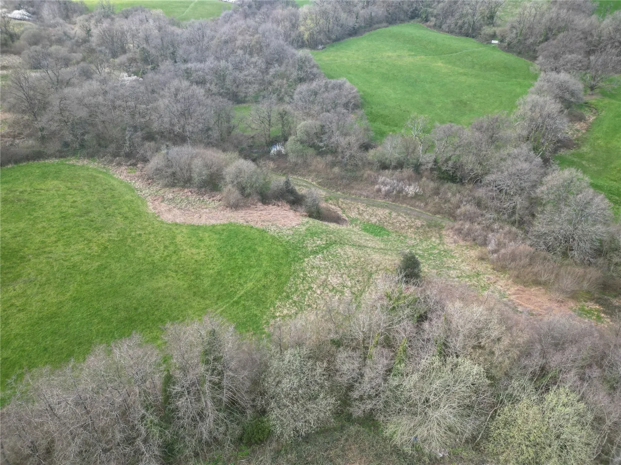 Leigh Upon Mendip, Radstock, photo 15