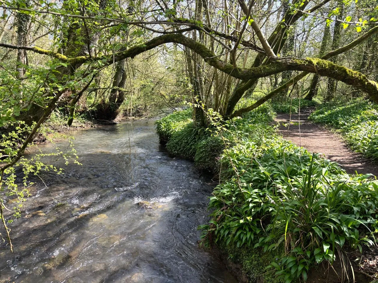 Leigh Upon Mendip, Radstock, photo 11