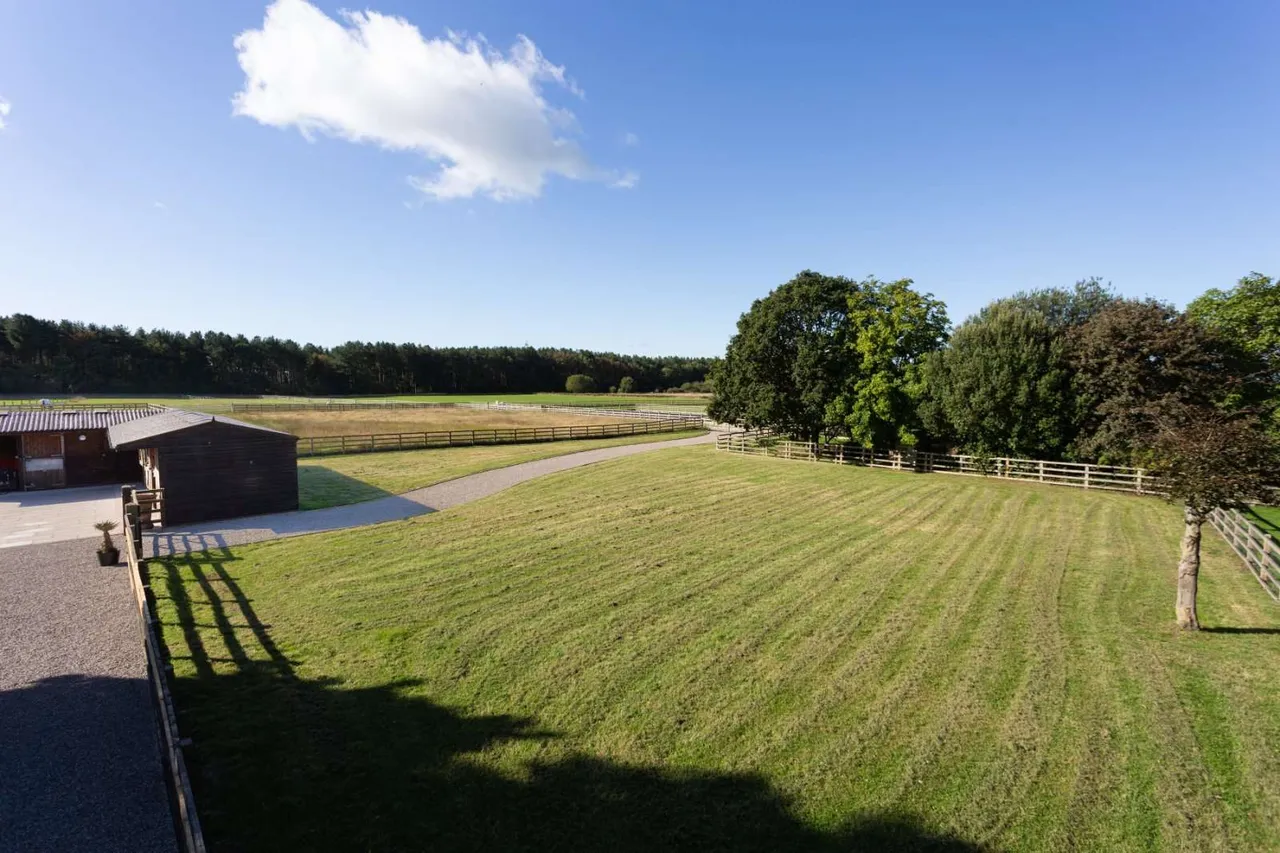 Flaxton, York, YO60, photo 19