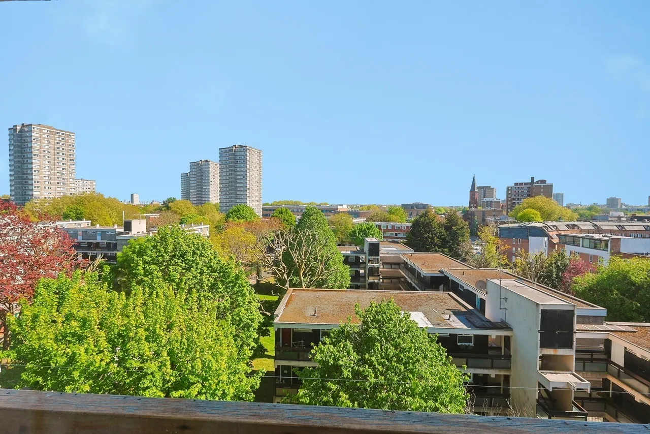 Battersea Church Road, Battersea, London, SW11, photo 12